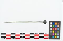 Foto von Bronzekugelkopfnadel (NHMW-PRAE-026014)